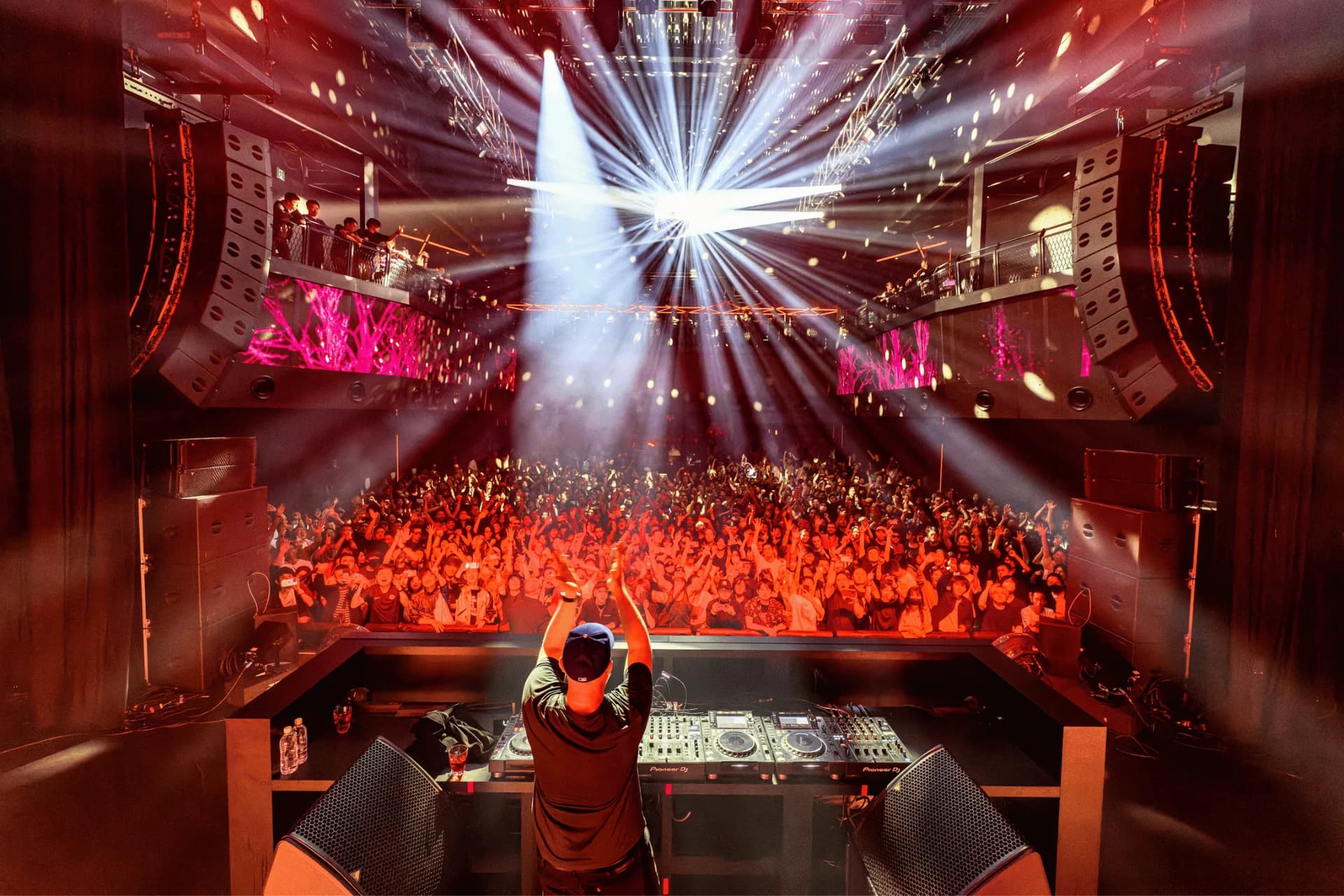 Adamson at the Junction of Entertainment in Japan - Gallery Image